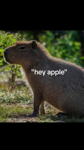 Eli🕸️🕷️ (@y2k.eli27)’s videos with original sound - uzusane say gex