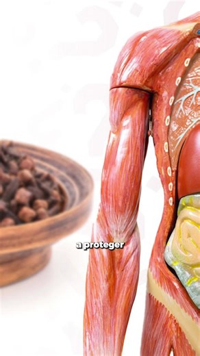 Clavo de olor: beneficios reales vs. mitos virales. 😳. Se volvió tendencia masticar dos clavos de olor al día y en redes ya le atribuyen poderes casi mágicos. Te contamos qué dice realmente la ciencia: sus propiedades comprobadas, para qué sirve de verdad… y qué afirmaciones no tienen respaldo. Porque una cosa es que tenga beneficios 🌿 y otra muy distinta es creer que cura todo. ¿Vos ya usaste clavo de olor? ¿Te funcionó? Te leemos en los comentarios. | SNT Cerro Corá (Oficial)