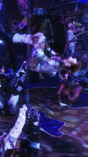 CATS, the "immersive spectacle" (Sydney Morning Herald) comes to Brisbane next month! Celebrate 40 years of this record-breaking musical, for a strictly limited season. | Cats the Musical Australia