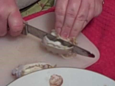 How to Clean BLUE CRABS After Cooking and How to Eat Blue Crabs