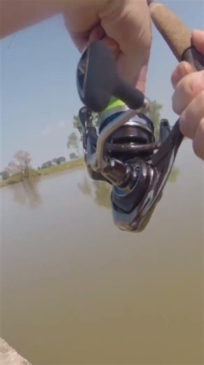 Thank You For Everything