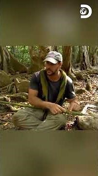 Joe e Matt fazem um abrigo para passar a noite em uma ilha remota