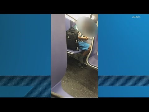 Viral video of someone seemingly smoking meth on DC metro