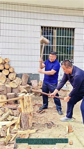 나무 자르기 대결: 전통 기술의 매력과 가치