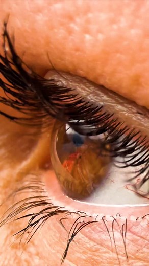 8-Days climbing mountain in the Peruvian mountains, here’s to the most unforgettable trip, thank @firststepexpeditions #firststepexpeditions #mountains #altitude #travelperu #perú #trepacerros⛰️ #caminates #montañistas #huayhuash #huayhuashtrek #womenkickingaltitude | First Step Expeditions