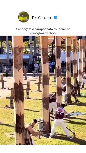 Dr. Caixeta - Davi Franco | O Springboard Chop é uma prova tradicional e emocionante do timbersports (esportes de lenhador), muito popular em competições na América do... | Instagram