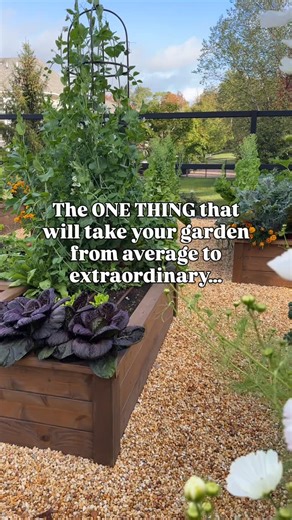 Resh Gala | Organic Gardener on Instagram: "My favorite flowers for the vegetable garden are: 🌸Cosmos 🌸Zinnias 🌸Marigolds 🌸Calendula 🌸Petunias 🌸Dahlias They not only look beautiful and add color and whimsy to the garden but play a functional role of attracting pollinators and beneficial insects too! What are your favs? #flowerpower #kitchengarden #reshgala"