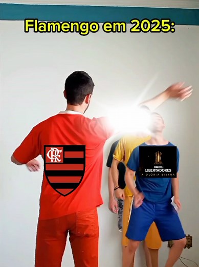 Flamengo em 2025 foi brabo #flamengo #libertadores #brasileirao #futebolbrasileiro