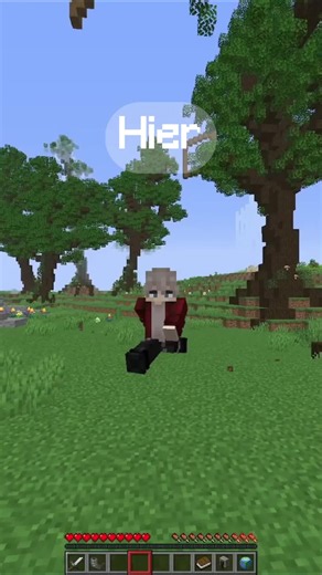 Minecraft UHC Tipps ! #minecraft #gaming #viral #texturepack #fyp