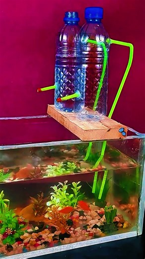 Best Aquarium Idea! 🌿🐠 #shorts #AquariumIdeas #BestAquariumIdea #AquariumDesign #AquariumSetup