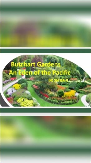 Meissner's Corpuscles: Light Touch Perception Explained! #shorts