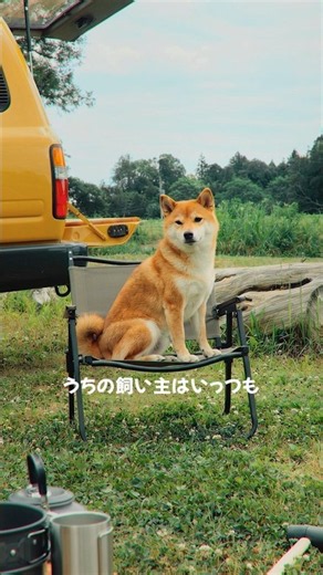 Viking Nishimura goes wild at camp! #shorts #camping #outdoors