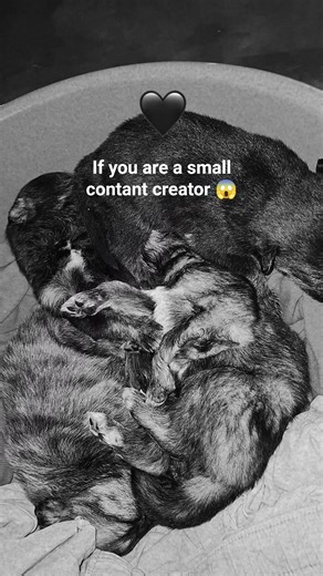 try this 😎#trending #shorts #viral