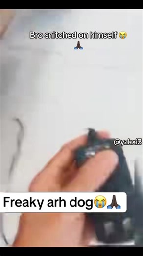 #yzkxi3 #meme #fy | big dog and little dog