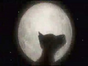 Zoo Cube Gamecube review