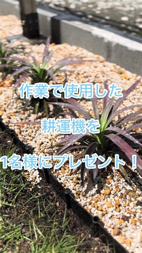 [ドライガーデンDIY]カチカチの庭が激変！➡︎水はけ抜群◎メンテナンスフリーのドライガーデンレイズベッドDIY手順を徹底解説(耕運機プレゼント企画付き)
