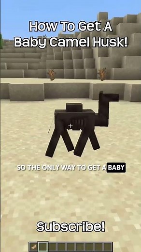 How To Get A Baby Camel Husk In Minecraft?!