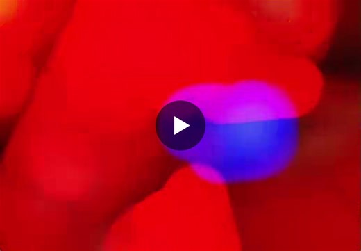 #fiberlightsource #fiberopticlighting #dmxlighting #dmx512 #rgbwlightengine #twinkleengine #programmablelighting #stageeffectlighting #weddingdecorlighting #customized #outdoorfeaturelighting… | Anton Chen