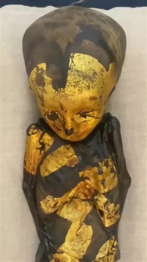 Momia de niño cubierta de oro encontrado en Egipto. #science #mummy #momia #egipto #niño
