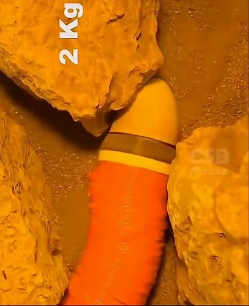 This robot grows its own body. FiloBot extends itself by 3D-printing its structure while moving, feeding thermoplastic filament to a head-mounted extruder that builds a long, vine-like body. As it “grows,” sensors for light, gravity, and proximity guide the direction of expansion. It can wrap around nearby structures like a climbing plant to save material or print thicker segments when it needs more stability. A robot that doesn’t just move through its environment. It builds its way through it. 