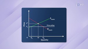 Video: Price Ceiling and Elastic Demand