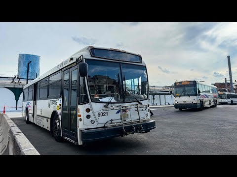 New Jersey Transit Bus Compilation at Hoboken #5