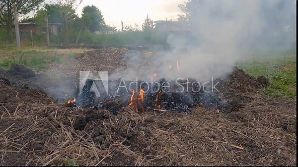 Small bonfire already burning out in a park outdoors