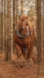 3.6K views · 351 reactions | The Gentle Giant: Watch this Massive...