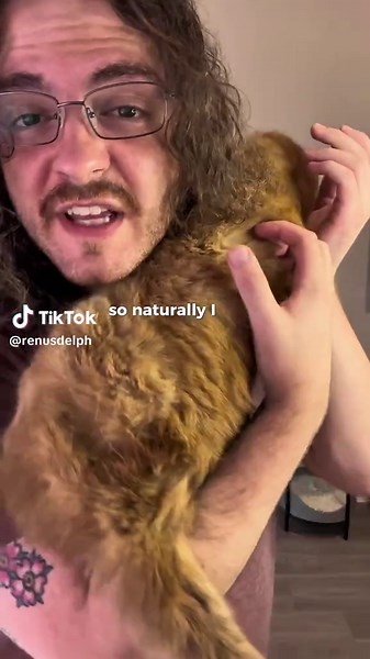 Concrete Slabs for Cats: A Unique Play Space