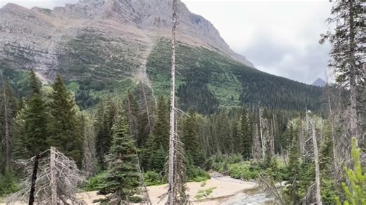 ☮️ Peace Pause The farther you hike from the crowds, the quieter the world becomes — until it’s just your breath, the trail beneath your feet, and mountains rising in every direction. There’s a moment where you stop feeling like a visitor and start feeling like part of the landscape. The wind moves around you, the trees shift, and the mountains simply hold the space. This is the kind of presence you can’t force — you earn it one step, one breath, one quiet mile at a time. Pause here. Let the mou