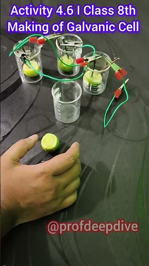Activity 4.6 I Class 8 Science I Galvanic Cell I #cbse #ncert #science #experiment #class8 #class10