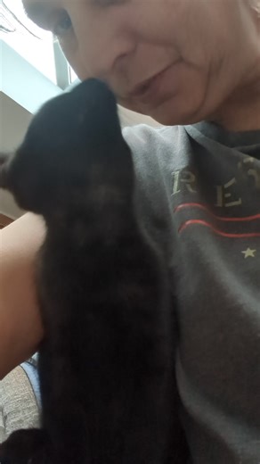 8.2K views · 375 reactions | Live wire says hello  | Betley Cat Rescue | Facebook