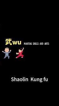 WHAT is WUXIA? The Real Meaning Behind Martial Arts & Honor