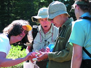 Gore Range Natural Science School offers adult classes
