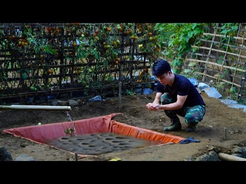 Nature's Bounty: The first days of the baby fish being born