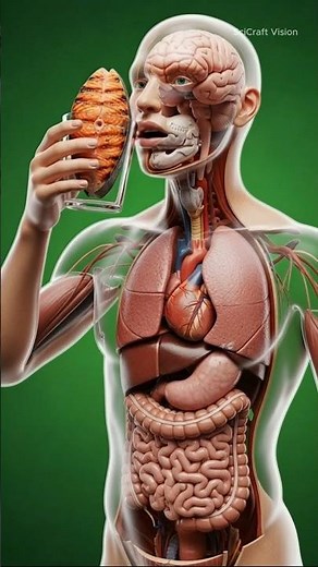 How a piece of fish changes the body – 3D inside visuals #shorts #bodyanatomy #3danimation #fish