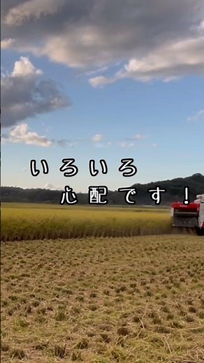 稲刈り　初コンバイン操作　#ER438#クボタ