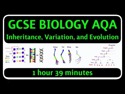 GCSE Biology AQA - Inheritance, Variation and Evolution Topic