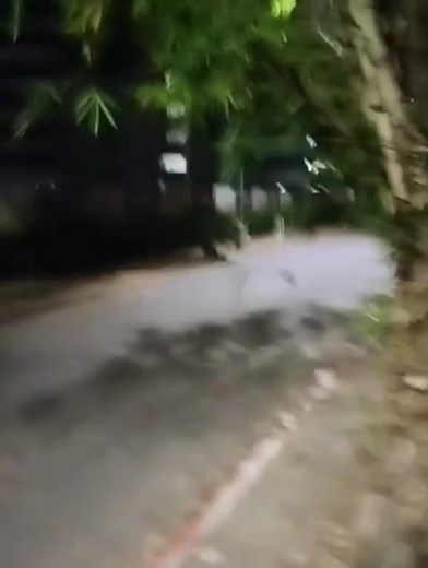 113K views · 3.8K reactions | En ciudadano ya se comunicó con nosotros y se realizarán las acciones correspondientes, placas de la motocicleta GGX39G Policía prohíbe que el vídeo sea publicado. Ya sabemos quiénes son los uniformados para proceder en derecho, y responsabilizamos a los mismos si llegase a sucederle algo al afectado. Policía Nacional de los Colombianos Fiscalía General de la Nación Colombia | S'r Ros tv | Facebook