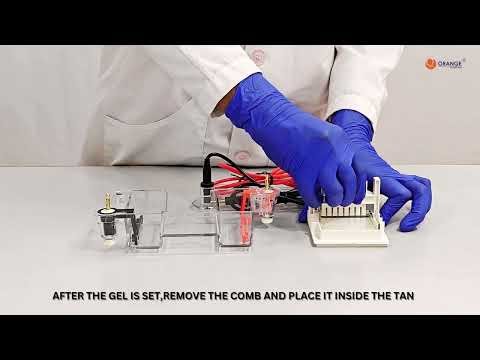 TOTAL RNA ISOLATION FROM YEAST BY TRIZOL METHOD TEACHING KIT ( PART-2)