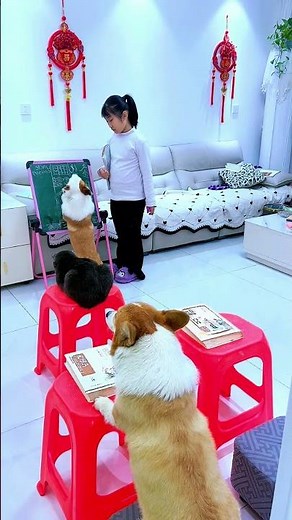 ​This Dog Tried to Solve a Math Problem! 🤣🐶