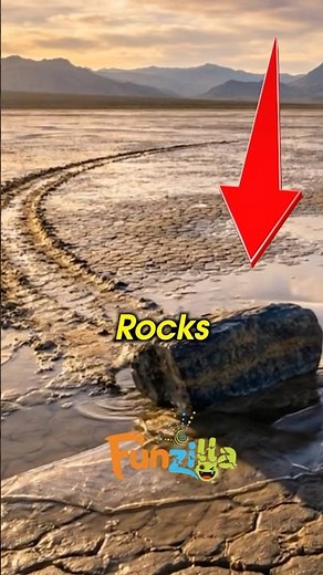 Rocks That Move on Their Own!