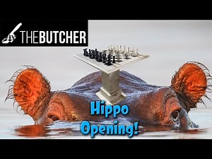 DEMOLISHING The Hippo in Just a Few Moves!!