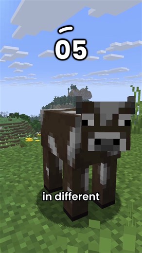 Guess the Minecraft Effects: Part 3