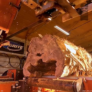 Finding a 1933 Relic INSIDE a Log | Out of the Woods Forestry