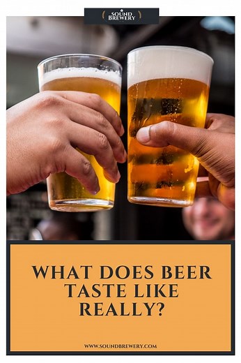 What Does Beer Taste Like Really? | What Affects The Flavor of Beer? | Flavor Guide: What Does Beer Taste Like?