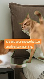 1.3K views · 38 reactions | Maybe it’s time to wake up to something better? ☀️ Sign up and give your Monday mood a makeover with our free courses. Link in Bio. #Reels #FYP #MondayMotivation #SnoozeButton #FreeCourses ##ExplorePage #Alison | Alison - Free Empowerment Platform | Facebook