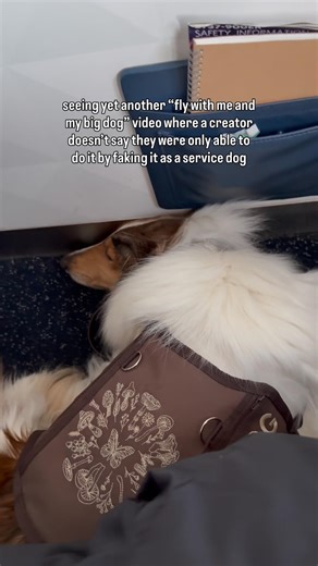 service dogs should not be sitting on plane seats, reacting to other dogs etc… #servicedog
