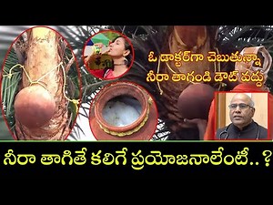 Neera Uses And Health benefits In Telugu | Neera Drink Health benefits | Kiran TV