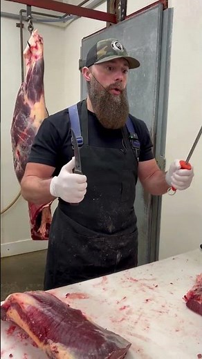 Honing the Victorinox 6" Boning Knife 🔪 #shorts #knife #sharpknife #thebeardedbutchers